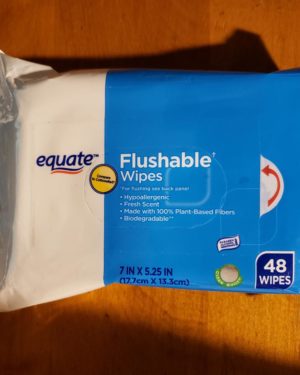 EQUATE BRAND SANITARY WIPES 48 PACK